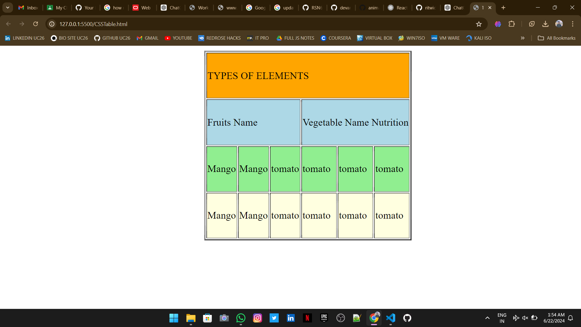 Table Using CSS Project